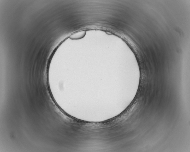 X0000111010902200907311049