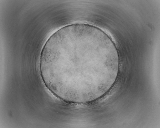 X0000111010903200907311049
