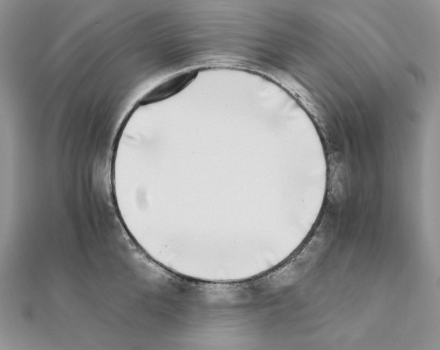 X0000111010904200907311049