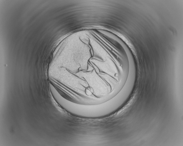 X0000111010905200907311049