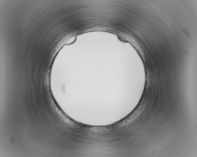 X0000111010906200907311049