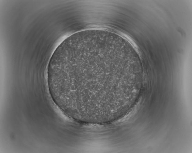 X0000111010907200907311049
