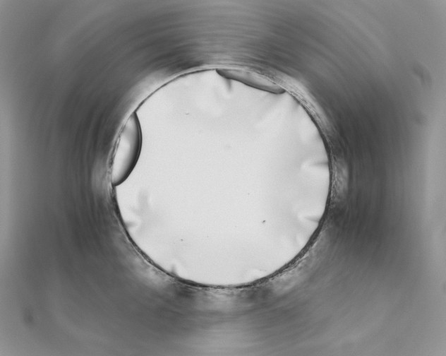 X0000111010908200907311049