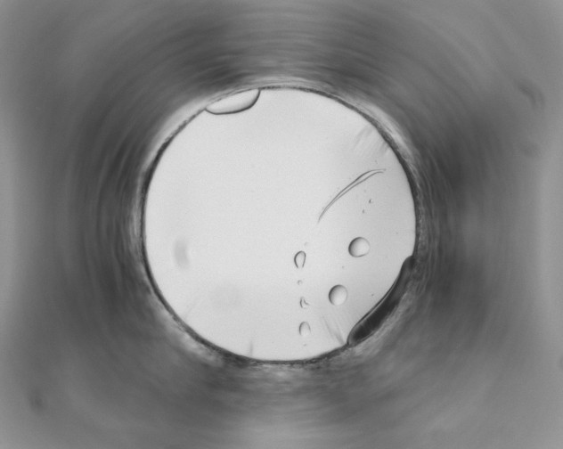X0000111010910200907311049