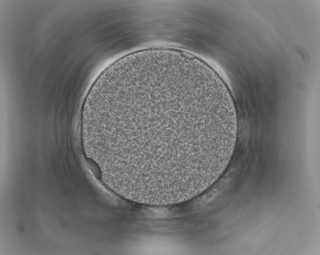 X0000111010911200907311049