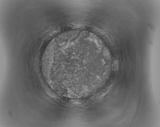 X0000111010913200907311048