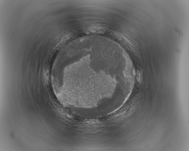 X0000111010915200907311048