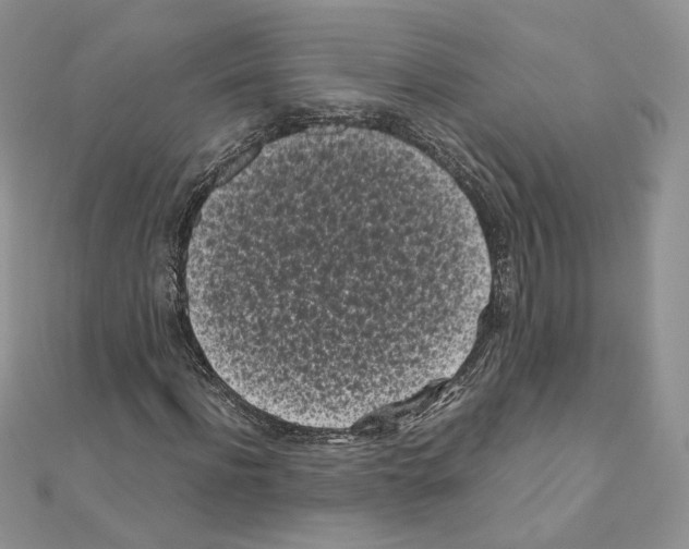 X0000111010916200907311048