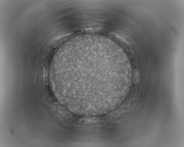 X0000111010917200907311048