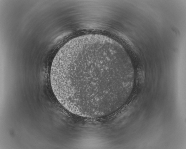 X0000111010918200907311048