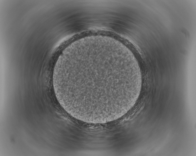 X0000111010919200907311048