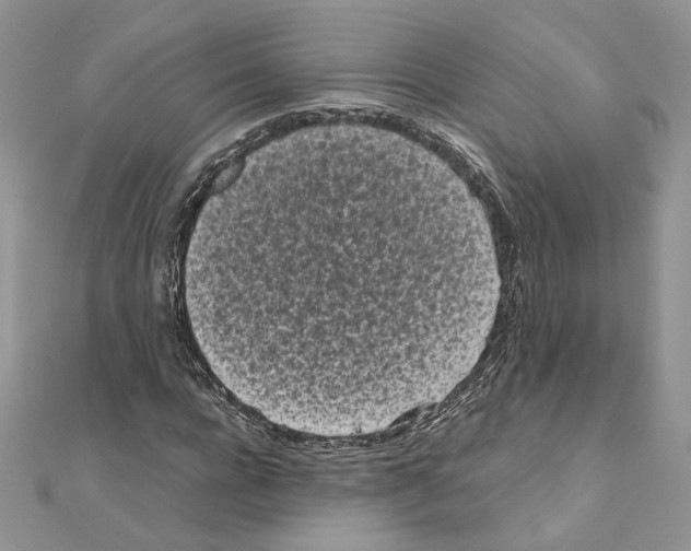 X0000111010920200907311048