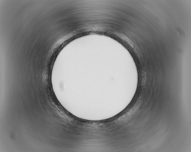 X0000111010922200907311048
