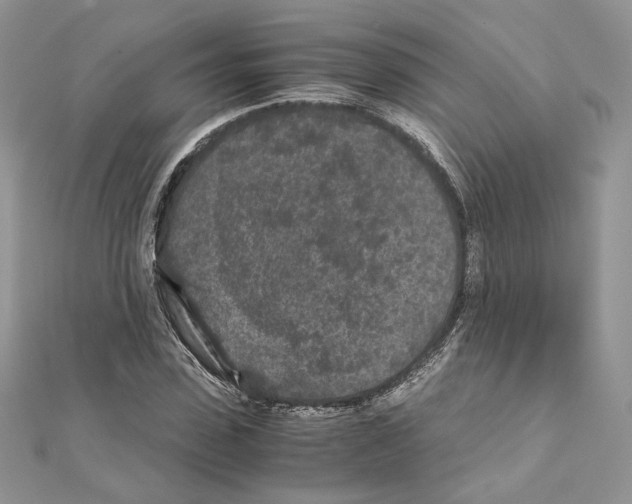 X0000111010923200907311048