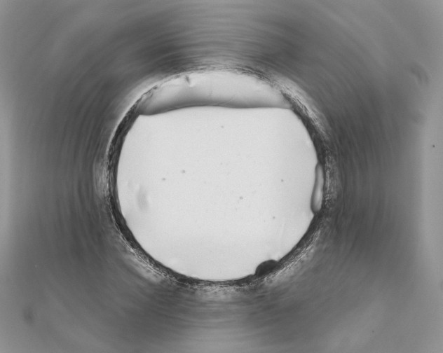 X0000111010924200907311048
