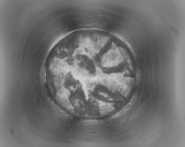 X0000111010925200907311048