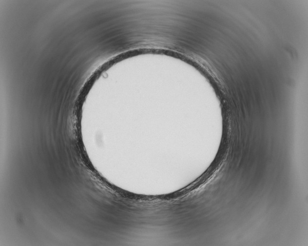 X0000111010926200907311048
