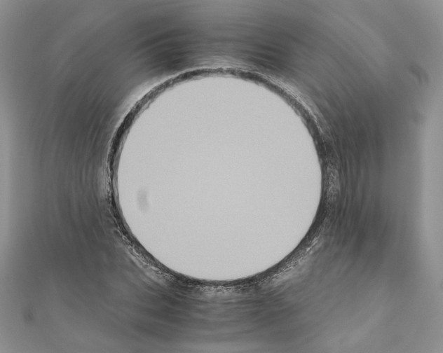 X0000111010927200907311048