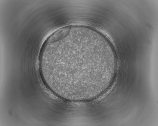 X0000111010928200907311048