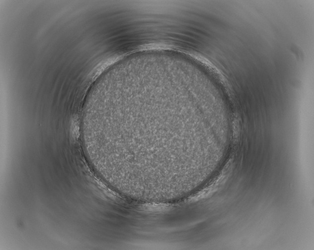 X0000111010929200907311048