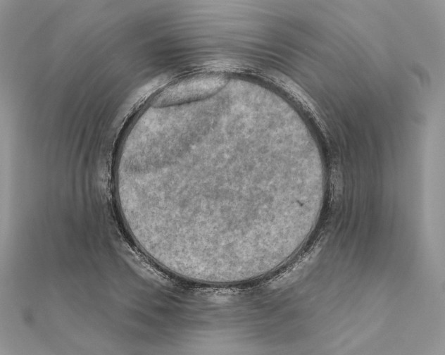 X0000111010930200907311048