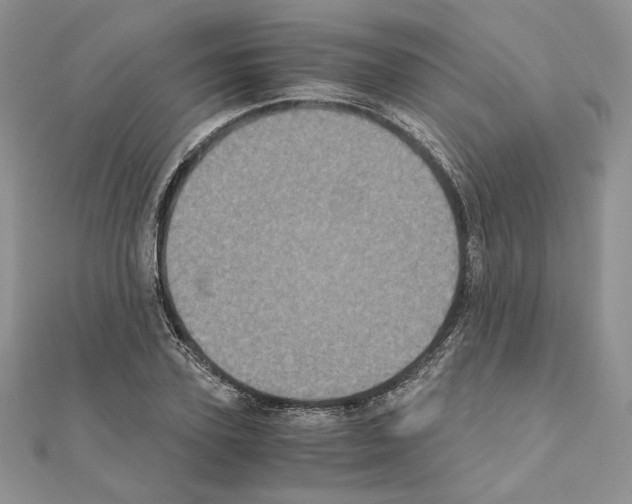 X0000111010931200907311048
