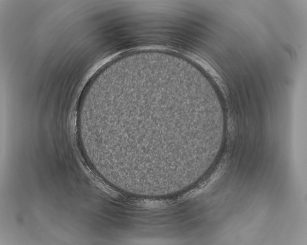 X0000111010933200907311048