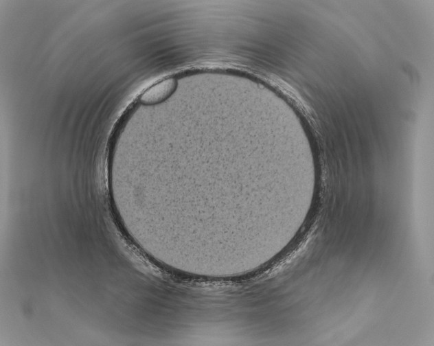 X0000111010934200907311048