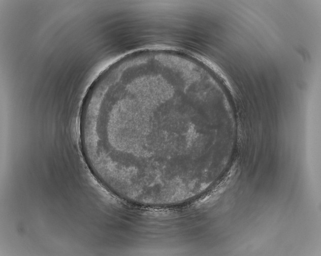 X0000111010935200907311048
