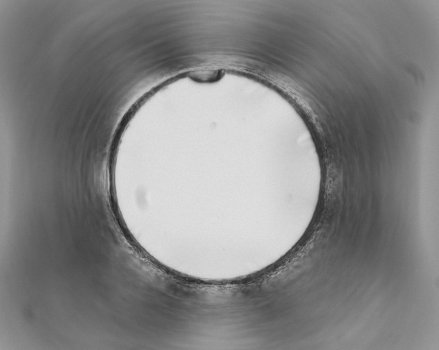 X0000111010936200907311048