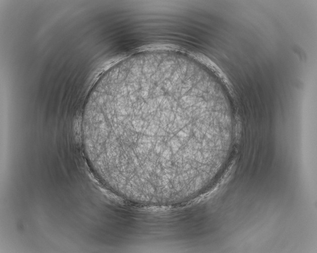 X0000111010937200907311048