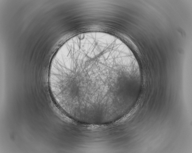 X0000111010938200907311048