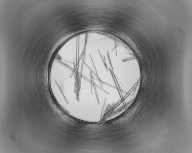 X0000111010939200907311048