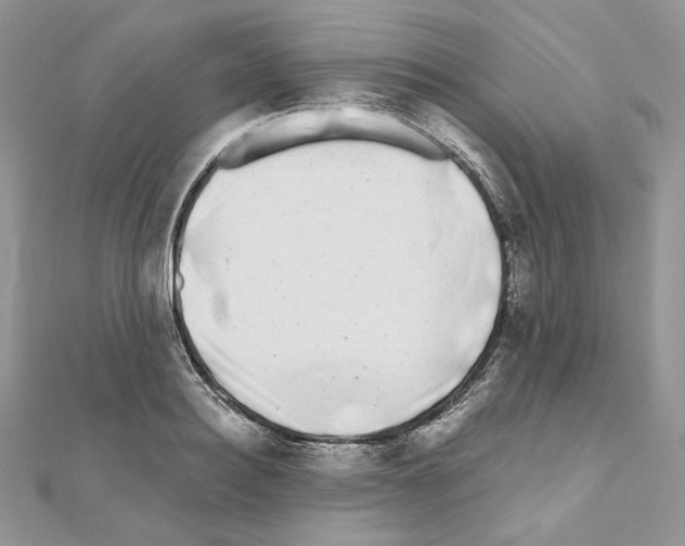 X0000111010940200907311048