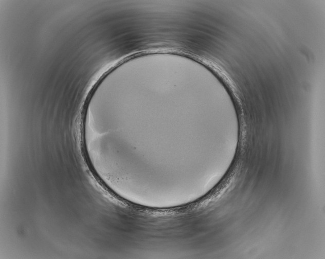 X0000111010941200907311048
