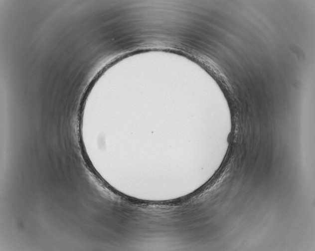 X0000111010942200907311048