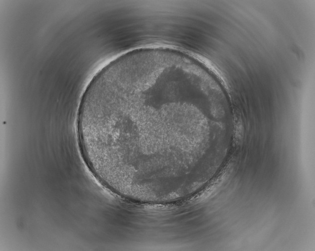 X0000111010943200907311049