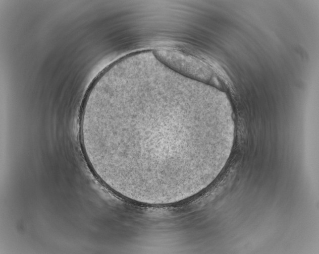 X0000111010944200907311049