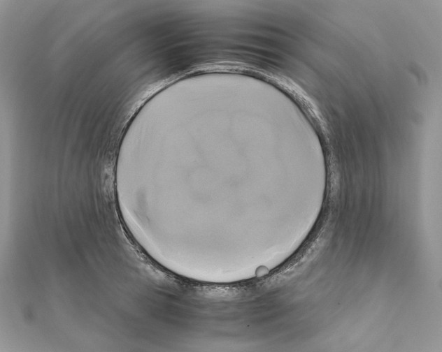 X0000111010945200907311049