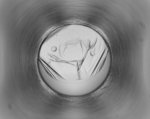 X0000111010946200907311049