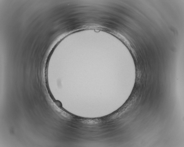 X0000111010947200907311049