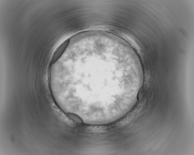X0000111010952200907311049