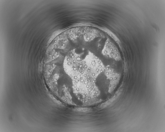 X0000111010953200907311049