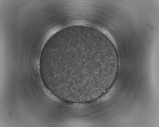 X0000111010954200907311049