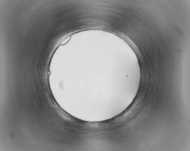 X0000111010956200907311049
