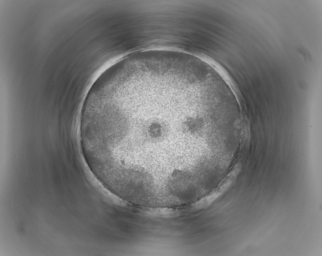 X0000111010957200907311049