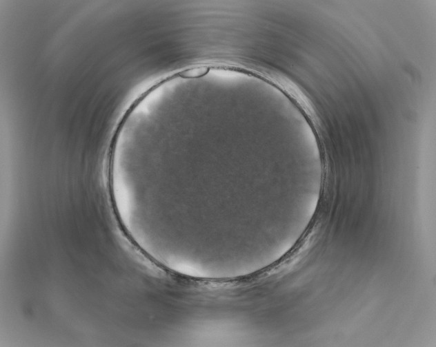 X0000111010958200907311049