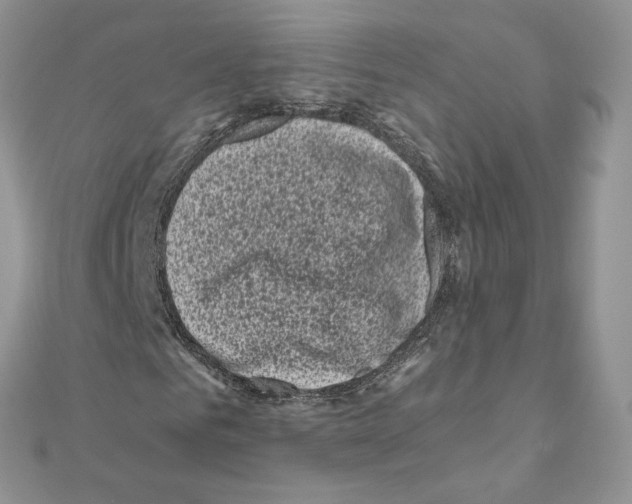 X0000111010961200907311048