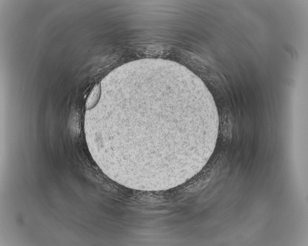X0000111010962200907311048