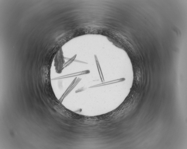 X0000111010964200907311048